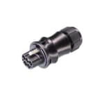 Wieland - connecteur RST20i5 mâle à sertir 6-10mm Gris clair