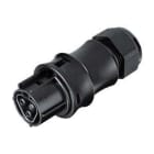 Wieland - connecteur RST20i2 femelle à vis 6-10mm Gris foncé