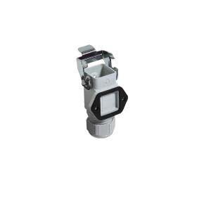 Wieland - embase min gut gc 7 m20 25 p1