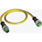 Wieland - cable as-i m/f m12 300mm-ligne as-i