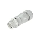 Wieland - connecteur RST20i3 femelle à vis 13-18mm Gris clair
