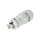 Wieland - connecteur RST20i3 mâle à vis 13-18mm Gris clair