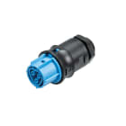 Wieland - embase RST20i3 femelle M20 à vis Bleu clair