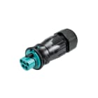 Wieland - connecteur RST20i5 mâle à vis 13-18mm Turquoise