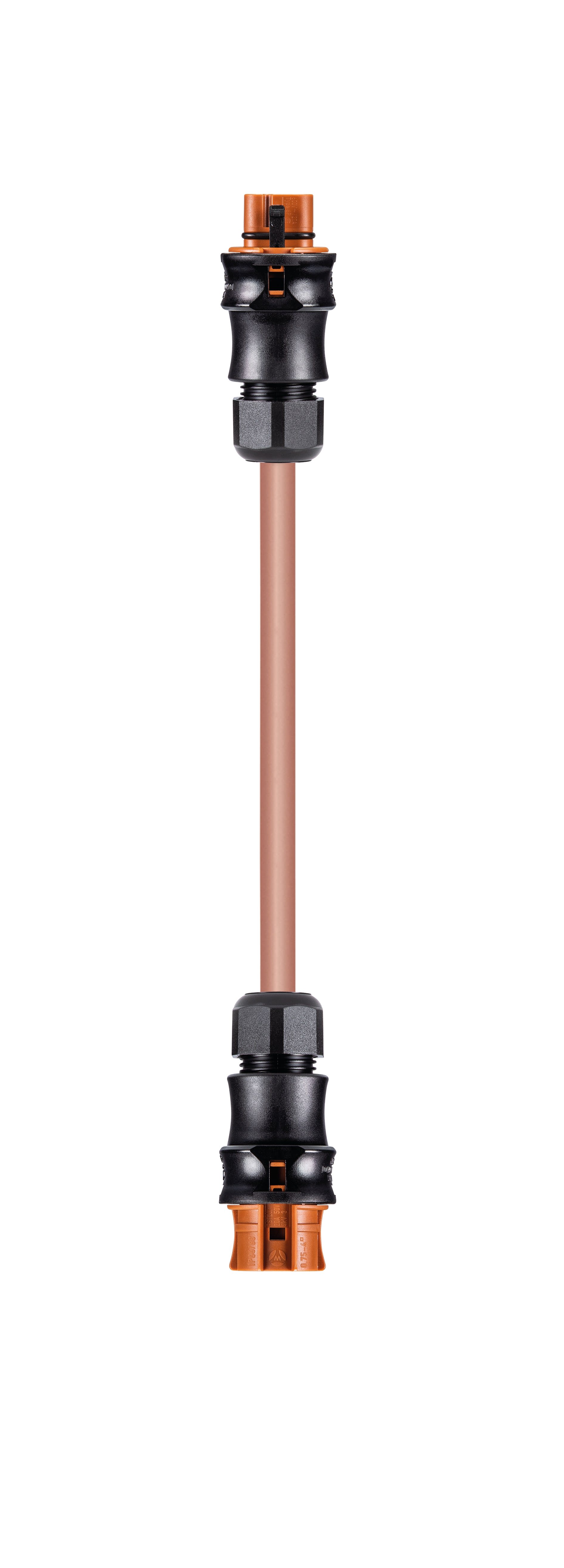 Wieland - cordon RST20i4 1m M/F 2,5² Öflex Marron