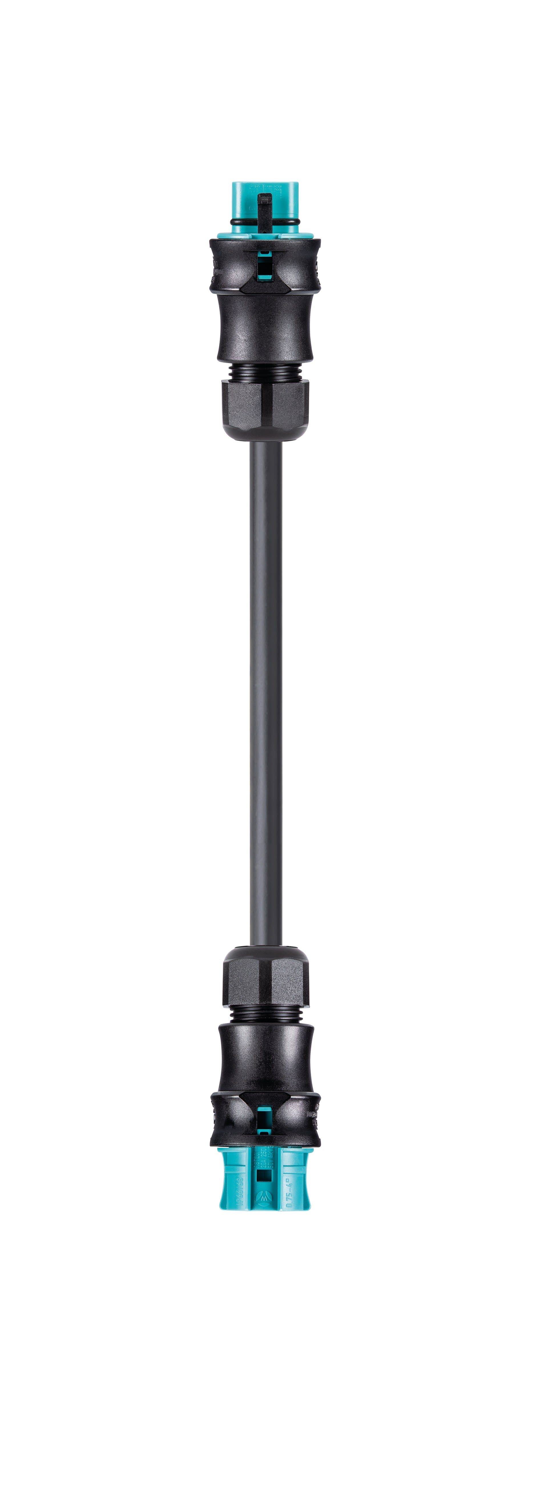 Wieland - cordon RST20i5 5m M/F 1,5² HO5Z1Z1F Turquoise ss halogène (Eca)