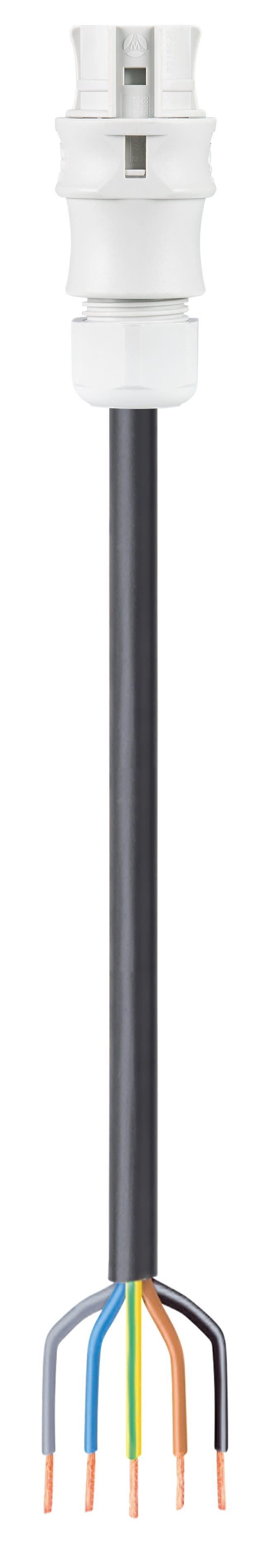 Wieland - cordon RST20i5 5m F/- 2,5² HO5VVF Gris clair (Eca)