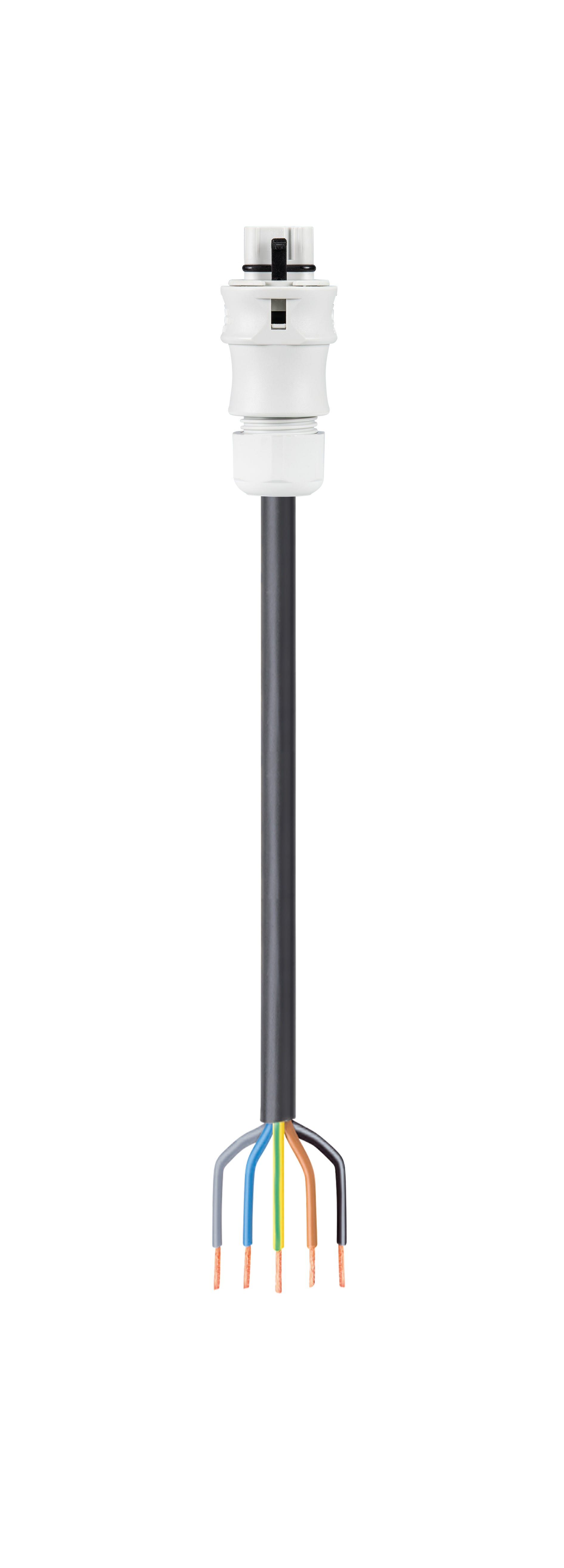 Wieland - cordon RST20i5 6m M/- 2,5² HO5VVF Gris clair (Eca)