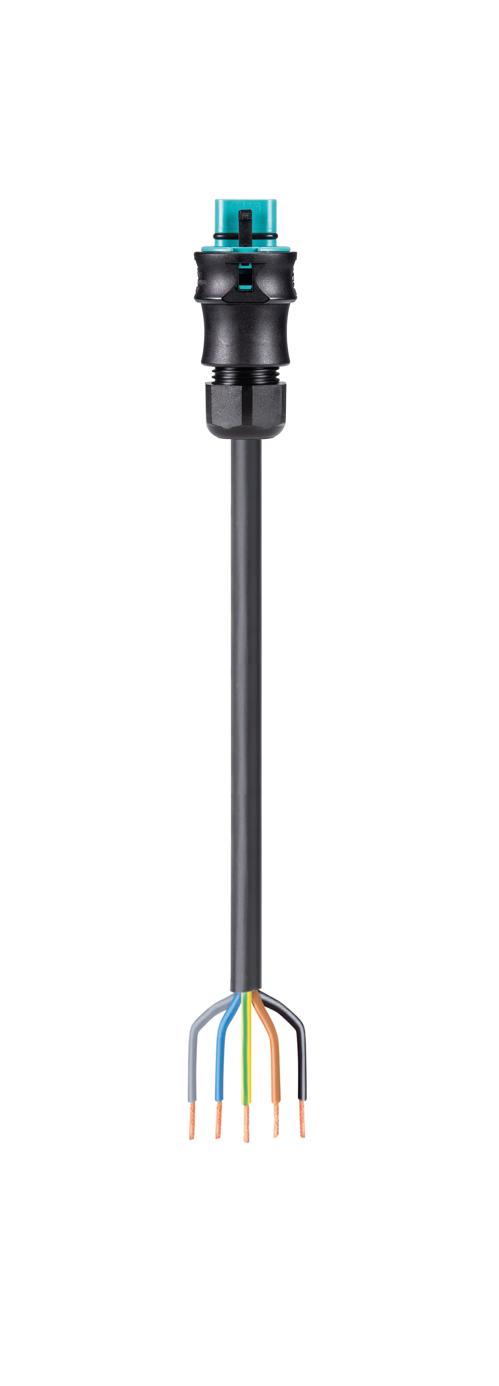 Wieland - cordon RST20i5 2m M/- 2,5² HO5VVF Turquoise (Eca)