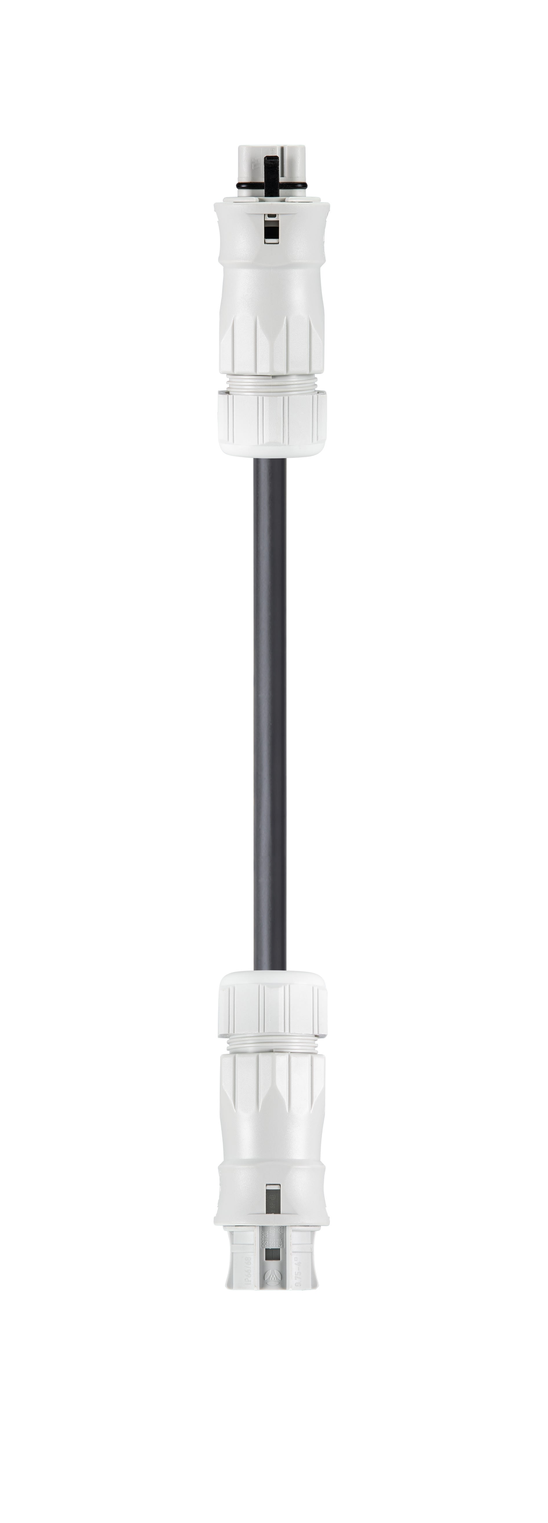 Wieland - cordon RST20i5 7m M/F 2,5² HO7RNF Gris clair