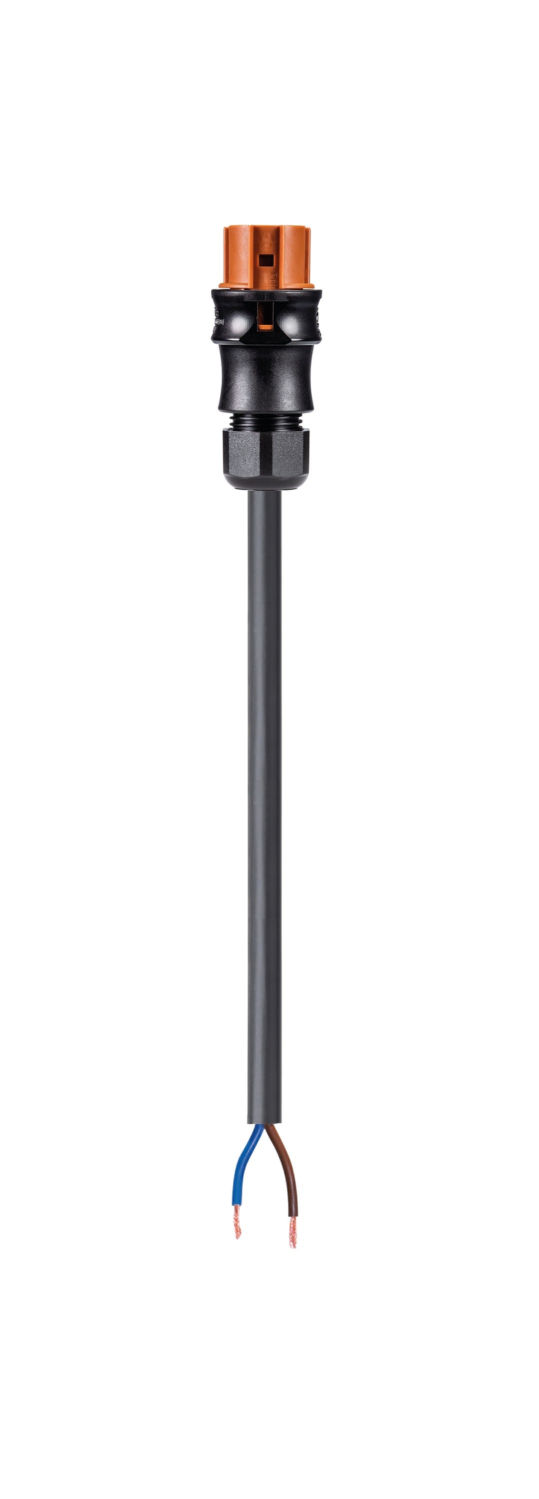 Wieland - cordon RST20i2 2m F/- 1,5² HO5VVF Marron