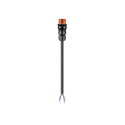 Wieland - cordon RST20i2 2m F/- 1,5² HO5VVF Marron