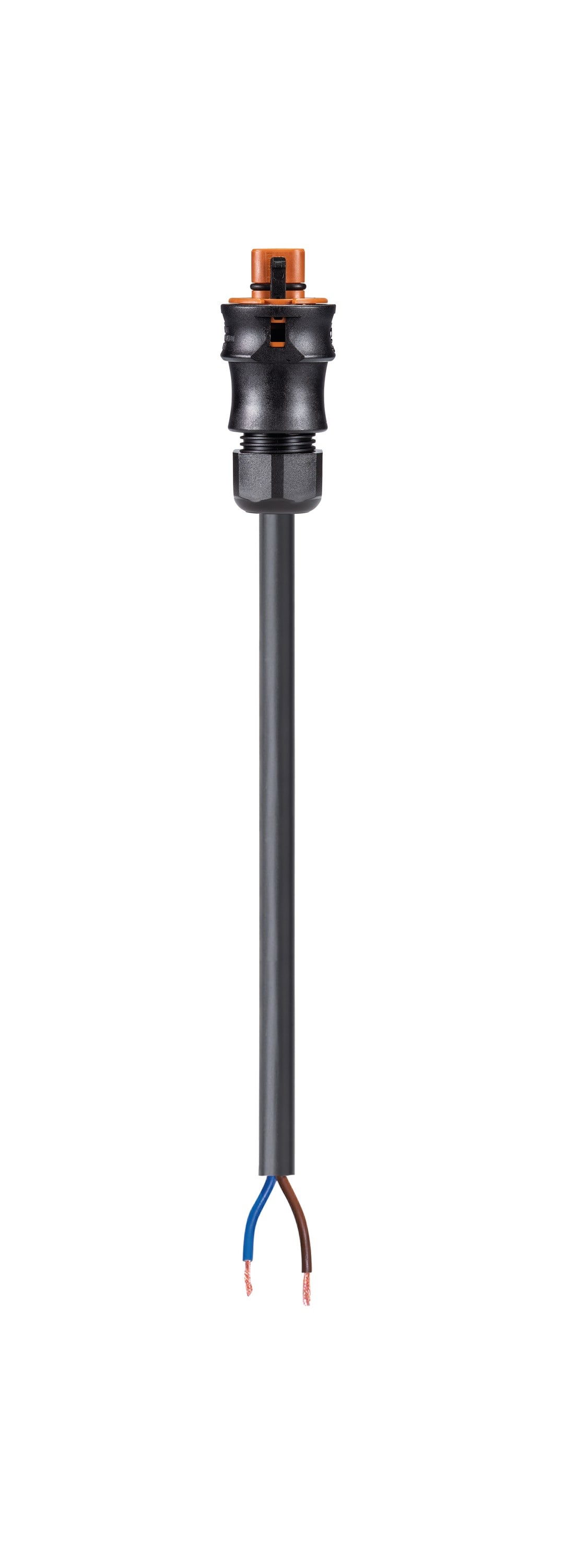 Wieland - cordon RST20i2 2m M/- 1,5² HO5VVF Marron