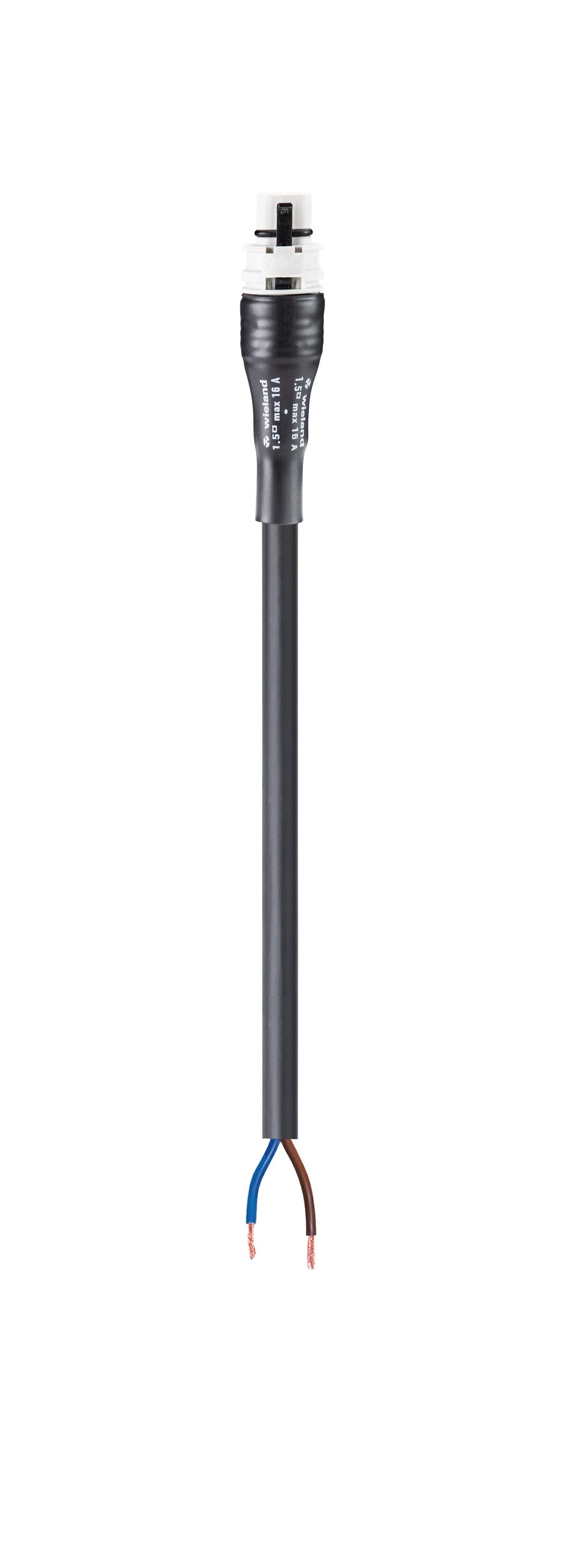 Wieland - Cordon RST20i2 1m M/- 1,5² HO5VVF gris clair (eca)