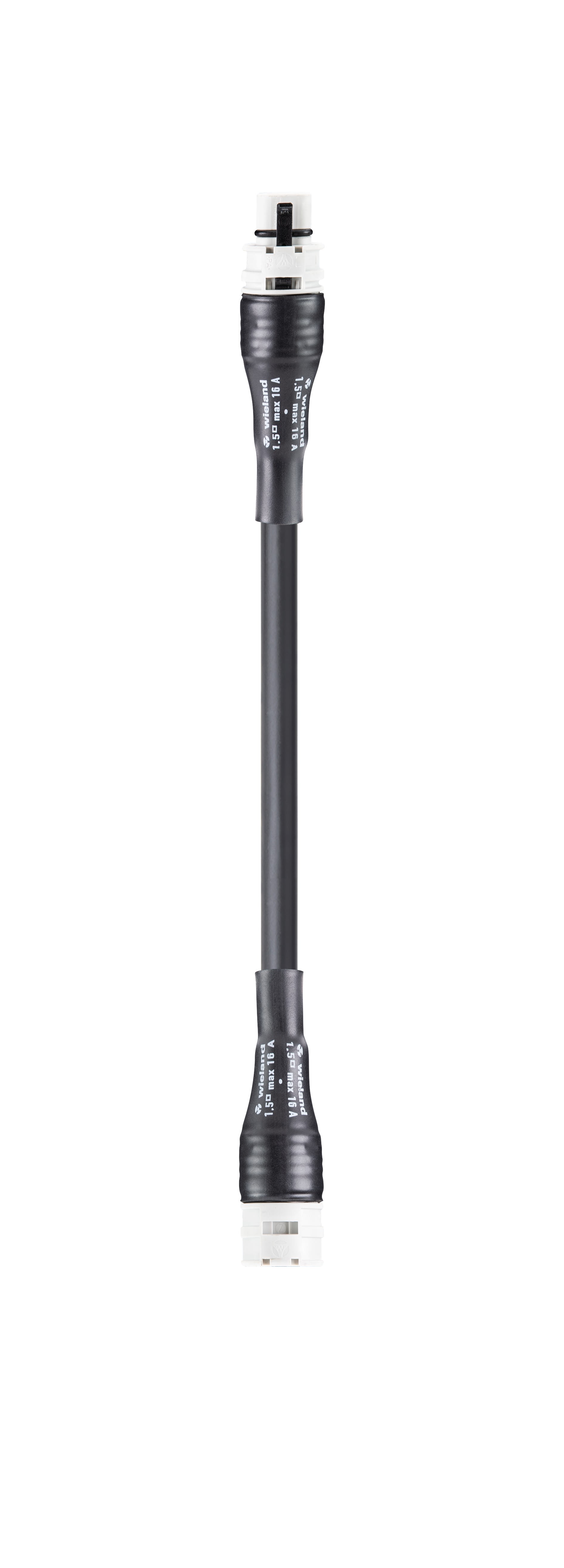 Wieland - cordon RST20i3 M/F 3m 2,5² HO5Z1Z1F Gris clair ss halogène (Eca)