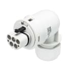 Wieland - connecteur RST20i5 coudé mâle à vis 6-10mm Gris clair