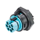 Wieland - Embase RST20i6 M32 mâle à vis turquoise