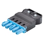 Wieland - connecteur GST18i5 femelle b1 zr1 bl01