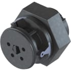 Wieland - Embase RST08i4 femelle M16 gris ardoise