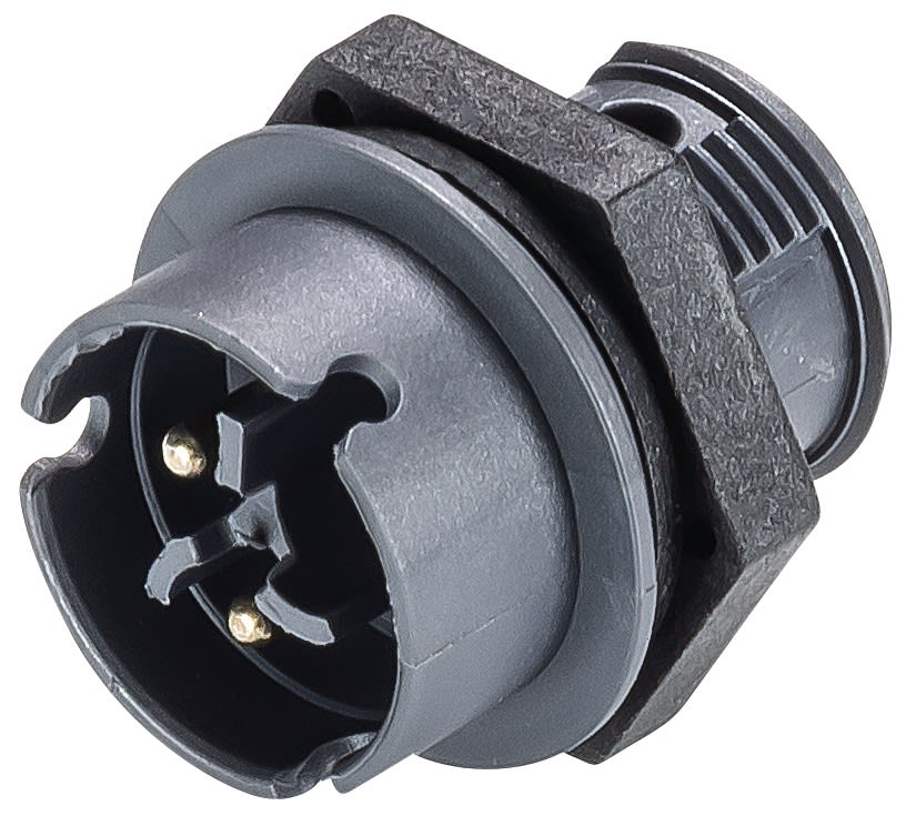 Wieland - embase RST08i2 mâle à vis anthracite