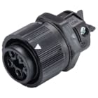 Wieland - embase femelle RST16i4 noir