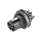 Wieland - embase RST20i5 mâle à vis M25 Noir ATEX