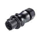 Wieland - connecteur RST20i3 femelle à vis 10-14mm Noir