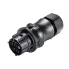 Wieland - connecteur RST20i4 femelle à vis 6-10mm Noir ATEX
