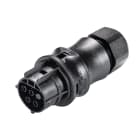 Wieland - connecteur RST20i4 femelle à vis 10-14mm Noir ATEX