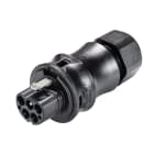 Wieland - connecteur RST20i4 mâle à vis 10-14mm Noir