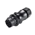 Wieland - connecteur RST20i5 femelle à sertir 6-10mm Noir