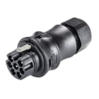 Wieland - Con. RST20i7 droit mâle à vis simple 6-10mm noir