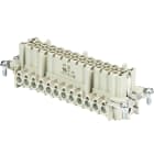 Wieland - bloc cont.femelleor bas bus 24 2,5 50 au insert femelle
