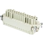 Wieland - bloc contacts fembas bup 24 2,5 50 ag-insert femelle