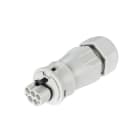 Wieland - connecteur RST20i5 mâle à vis 13-18mm Gris clair
