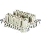 Wieland - bloc contacts fembas bus 32 2,5 50 ag insert femelle