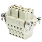 Wieland - bloc contacts fembas bum 10 2,5 50 ag-insert femelle