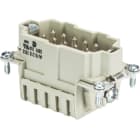 Wieland - bldc cont. males bas stf 10 2,5 50-insert mâle