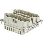 Wieland - bldc cont. males bas stf 32 2,5 50-insert mâle
