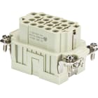Wieland - bloc contacts fembas buck 18 50 pc-insert femelle