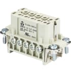 Wieland - bloc contacts femhd bus 10 2,5 25 ag-insert femelle