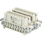 Wieland - bloc contacts femhd bus 32 2,5 25 ag-insert femelle
