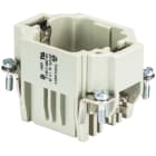 Wieland - bloc cont.males dd stc 24 1,5 25-insert mâle