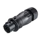 Wieland - connecteur RST20i3 femelle à vis 13-18mm Noir