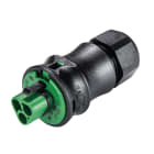 Wieland - connecteur RST20i3 mâle à ressort 6-10mm Vert ATEX