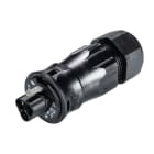 Wieland - connecteur RST20i3 mâle à vis 13-18mm Noir