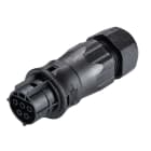 Wieland - connecteur RST20i5 femelle à vis 13-18mm Noir