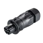 Wieland - connecteur RST20i5 mâle à vis 13-18mm Noir
