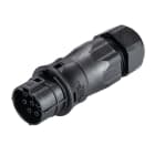 Wieland - Con. RST20i7 droit femelle à vis simple 13-18mm noir