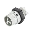 Wieland - embase male RST16i2 gris